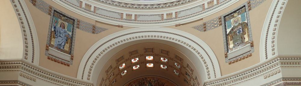 Organizational Biology