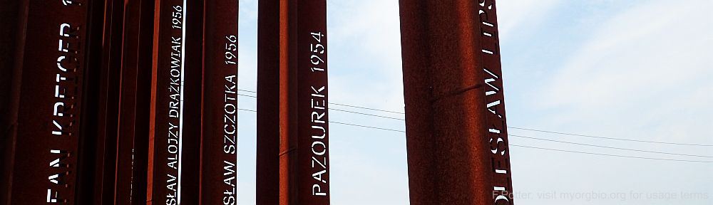 Organizational Biology