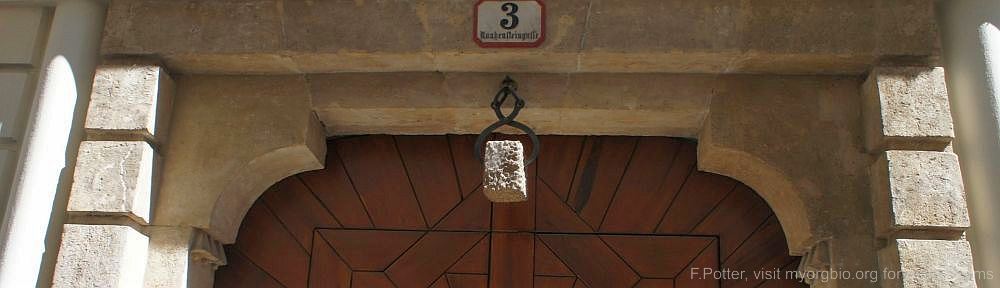 Organizational Biology