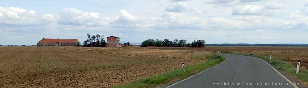 Organizational Biology