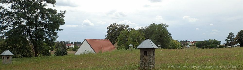 Organizational Biology