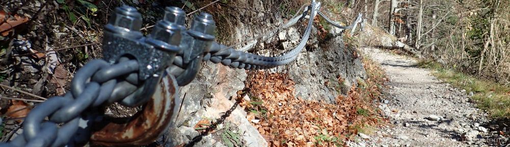 Organizational Biology