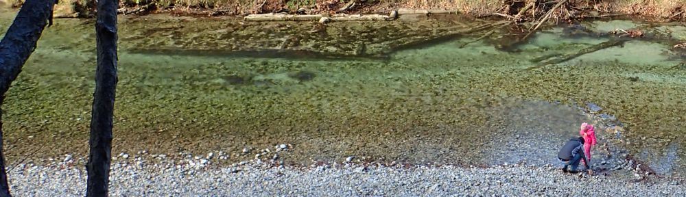 Organizational Biology