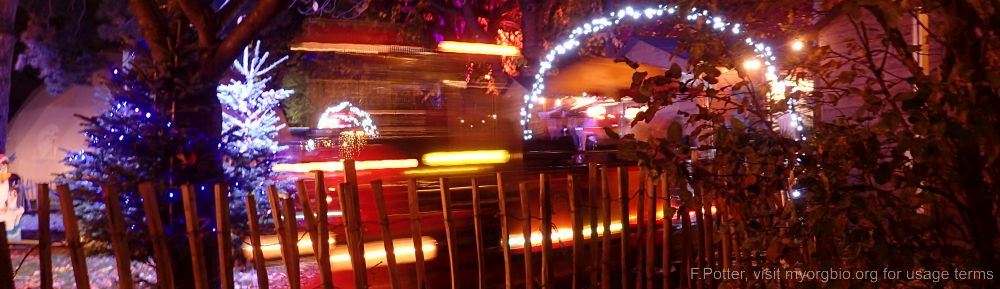 Organizational Biology