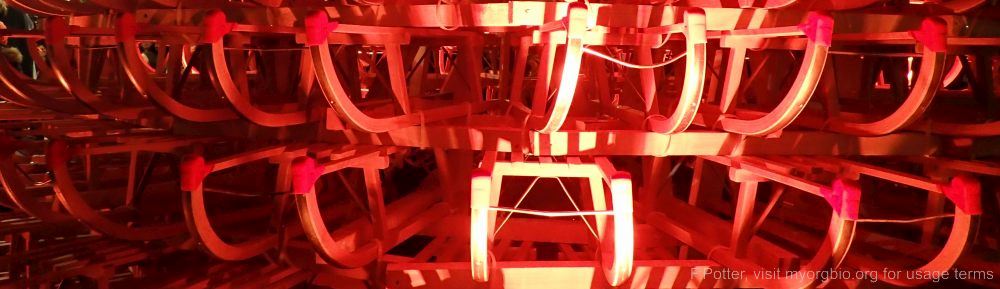 Organizational Biology