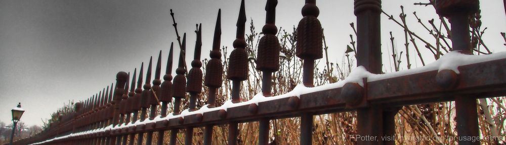 Organizational Biology