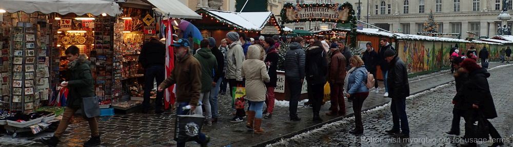 Organizational Biology