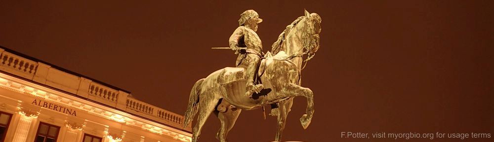 Organizational Biology