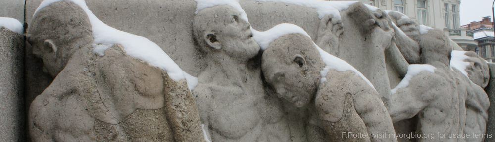 Organizational Biology