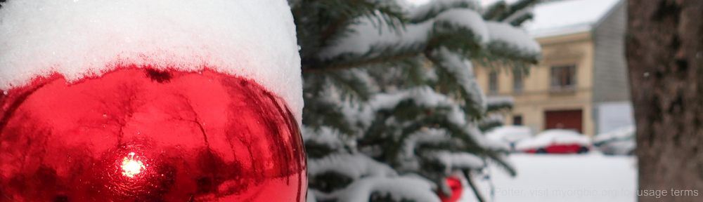 Organizational Biology