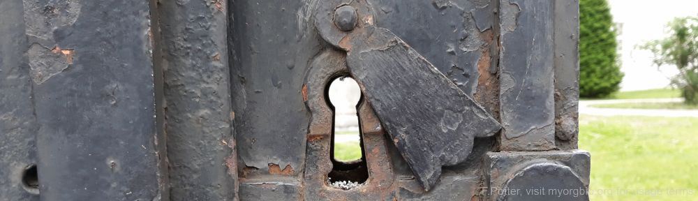 Organizational Biology