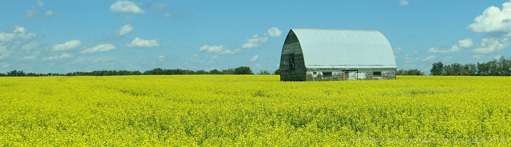 Organizational Biology