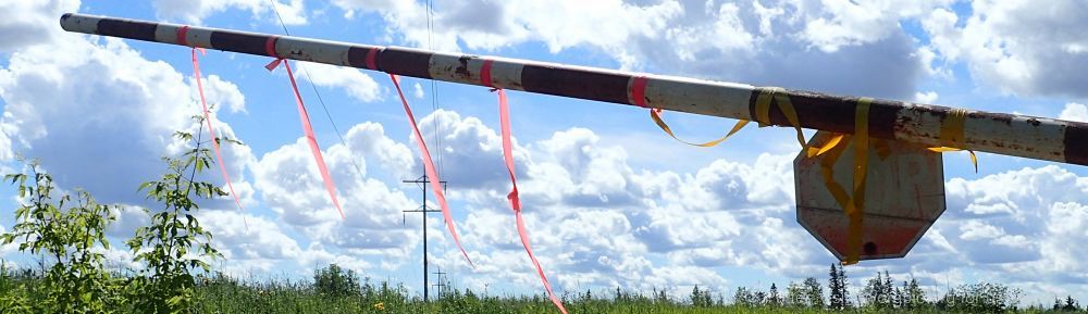 Organizational Biology