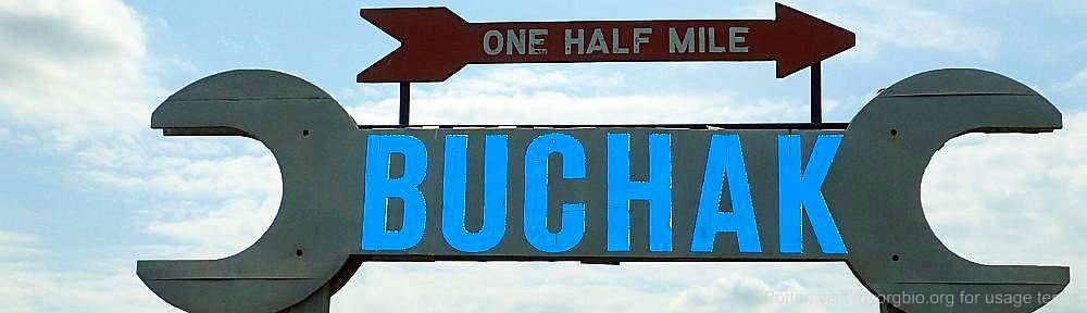 Organizational Biology