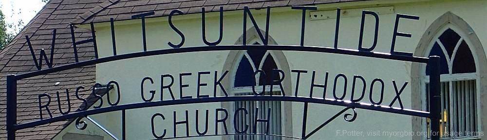 Organizational Biology