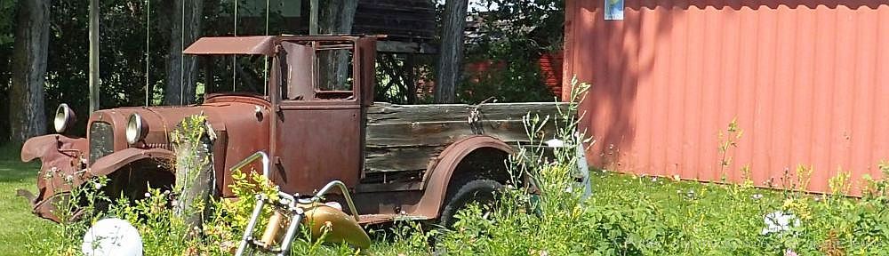 Organizational Biology