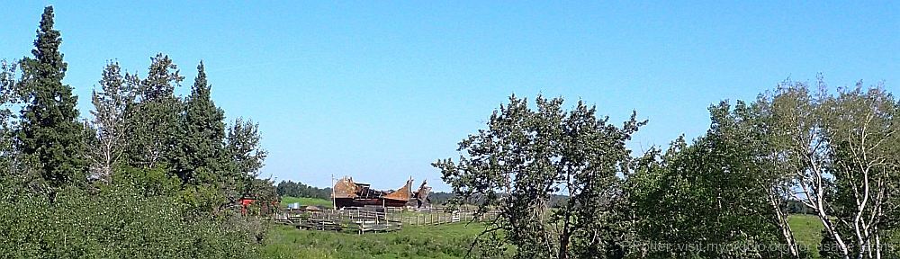 Organizational Biology