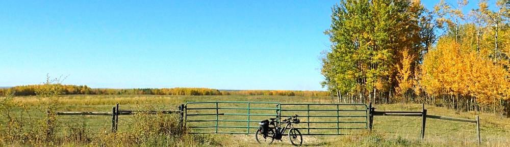 Organizational Biology