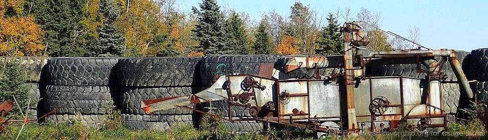 Organizational Biology