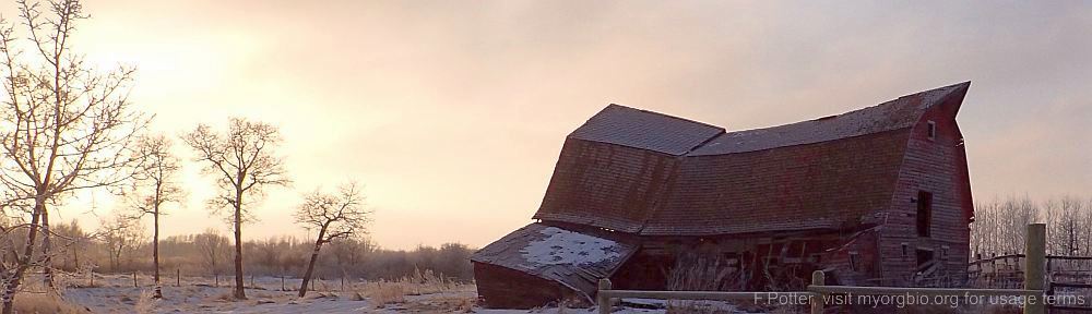 Organizational Biology