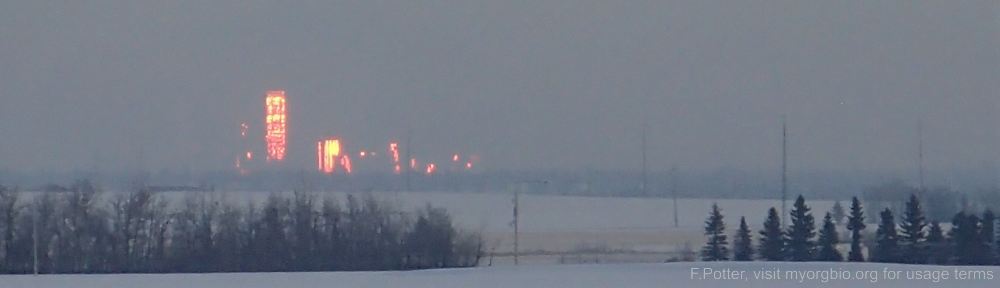 Organizational Biology