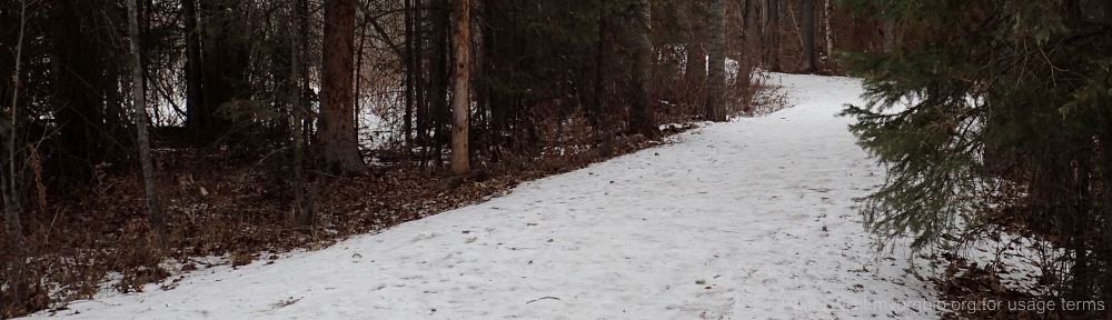 Organizational Biology