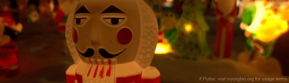 Organizational Biology