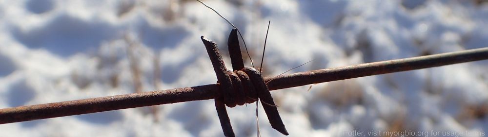 Organizational Biology