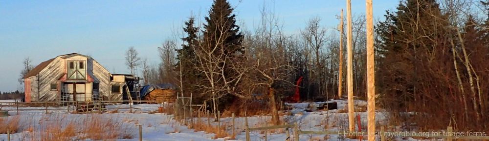 Organizational Biology