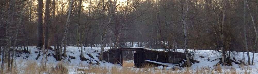 Organizational Biology