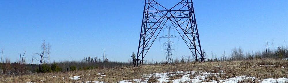 Organizational Biology