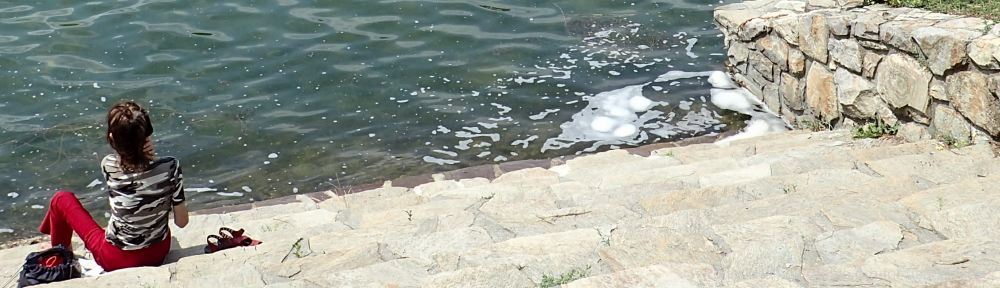 Organizational Biology