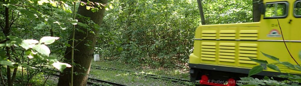 Organizational Biology