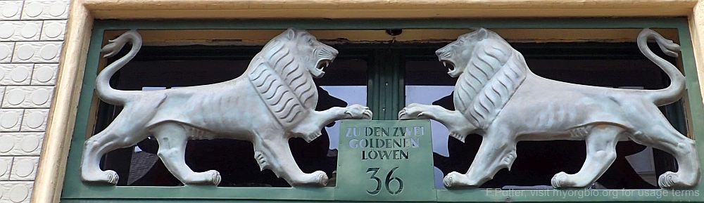 Organizational Biology