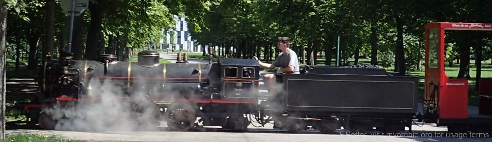 Organizational Biology