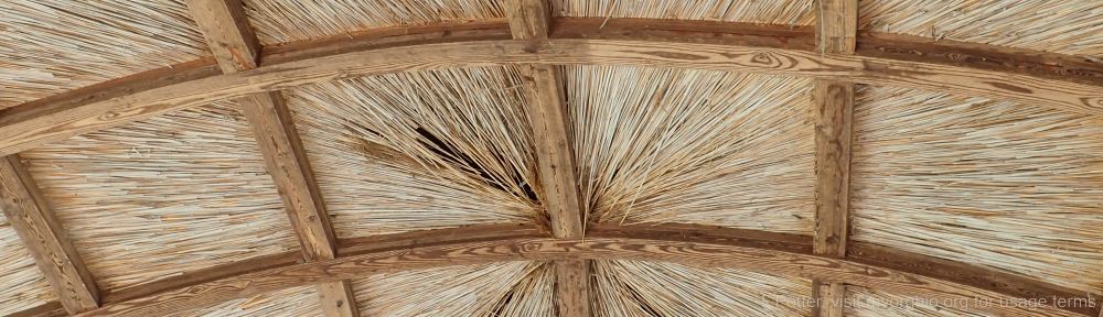 Organizational Biology