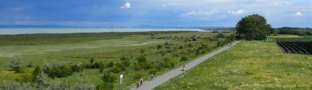 Organizational Biology