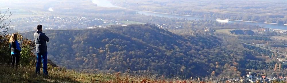 Organizational Biology