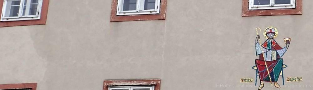 Organizational Biology