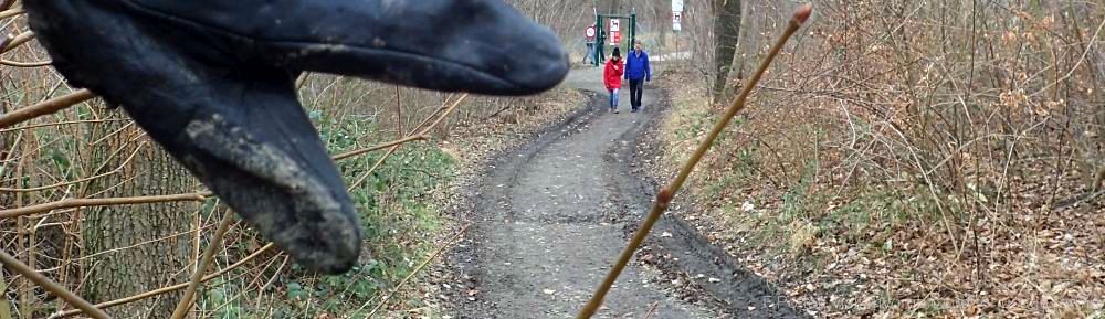 Organizational Biology