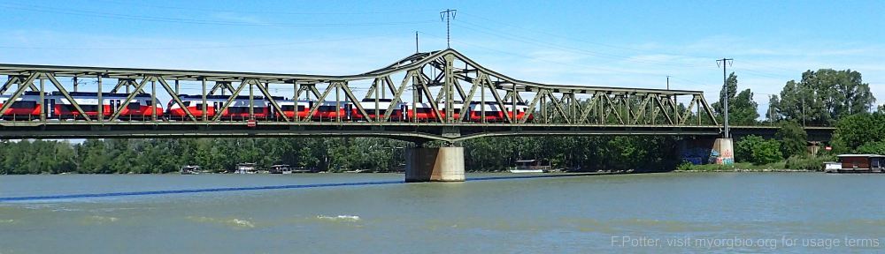 Organizational Biology