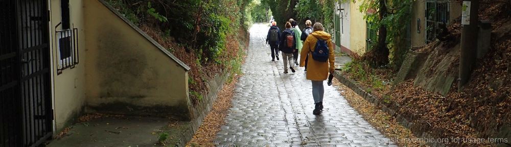 Organizational Biology