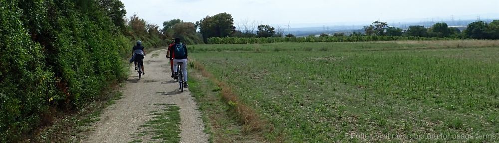 Organizational Biology