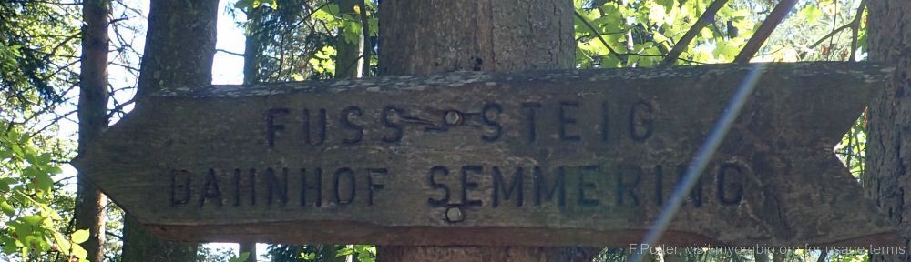 Organizational Biology