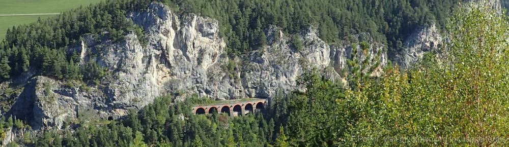 Organizational Biology