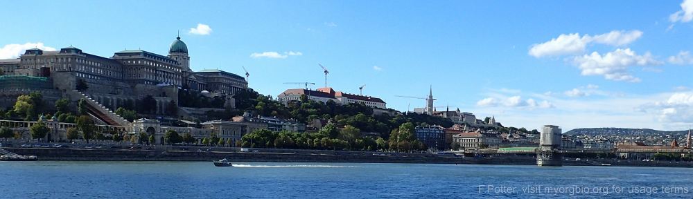 Organizational Biology