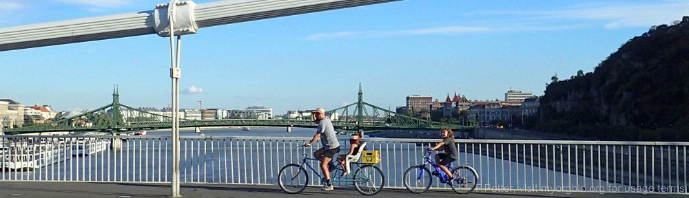 Organizational Biology