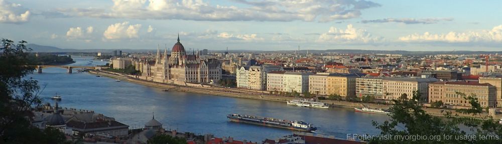 Organizational Biology