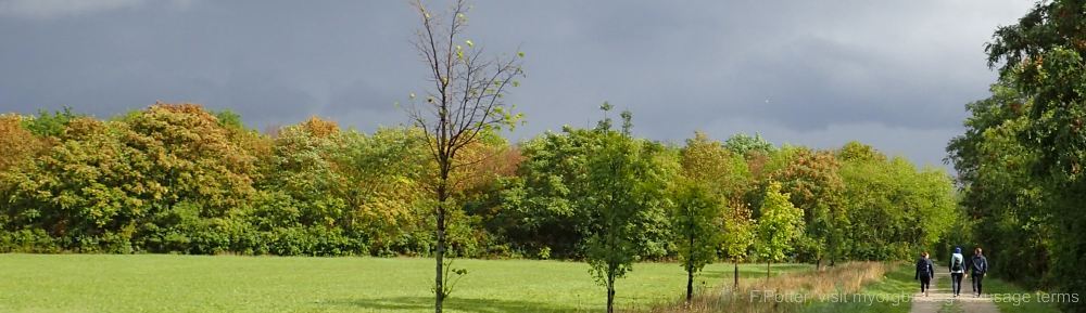 Organizational Biology