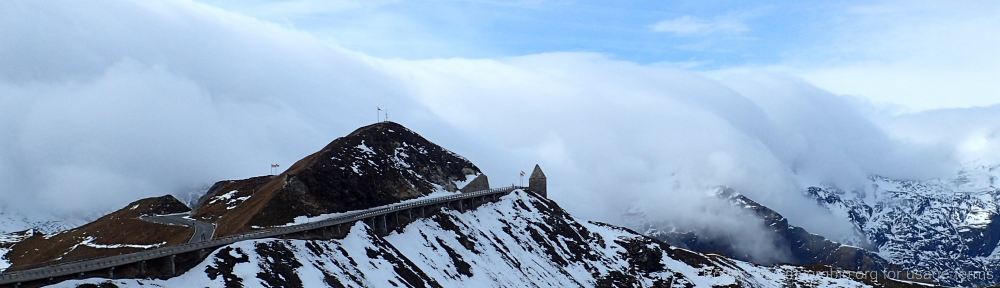 Organizational Biology